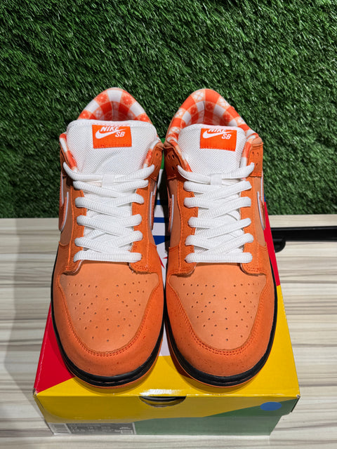 Nike SB Dunk Low Concepts Orange Lobster Sz 12M