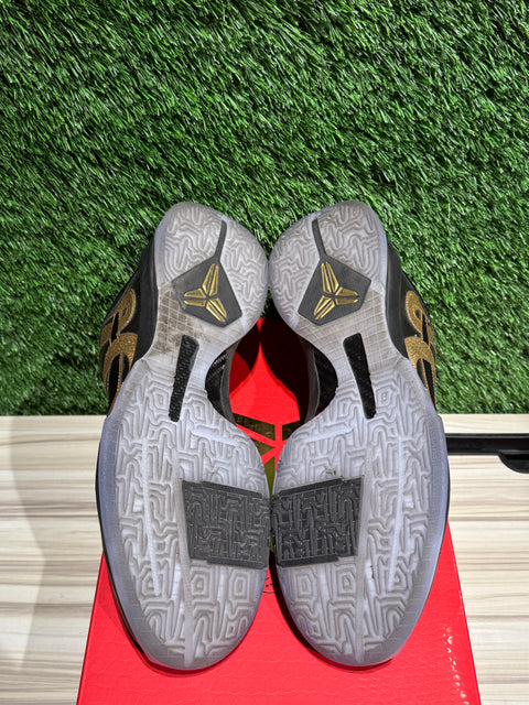 Nike Kobe 5 Protro Year of the Mamba Eggplant