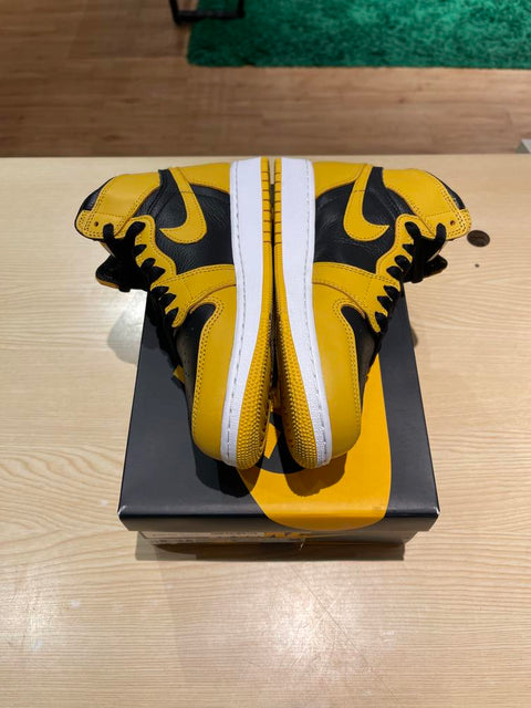 Jordan 1 Retro High OG Pollen (GS) SZ 6y