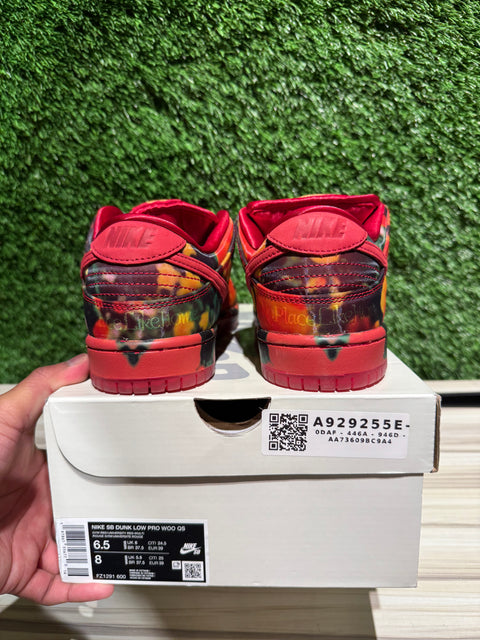 Nike SB Dunk Low The Wizard of Oz Poppy Field Sz 6.5M