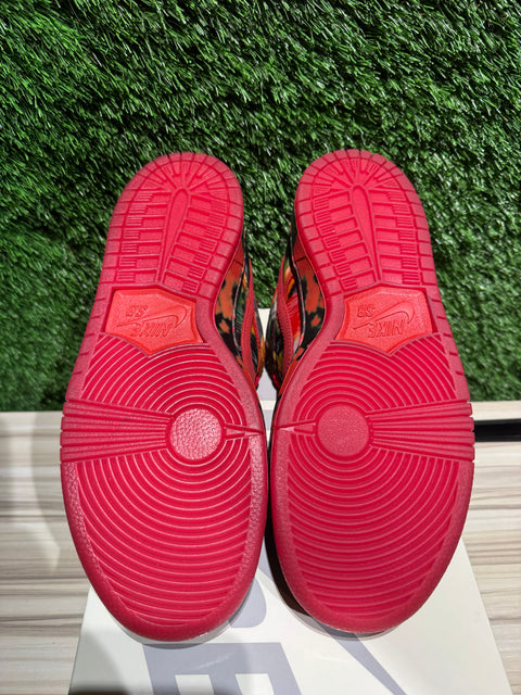 Nike SB Dunk Low The Wizard of Oz Poppy Field Sz 8