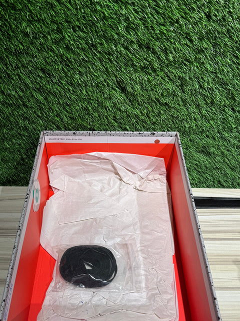 Jordan 4 Retro Orchid (Women's) Sz 9.5M/11W