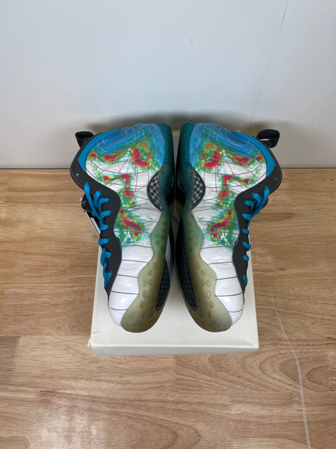 Nike Air Foamposite One Weatherman