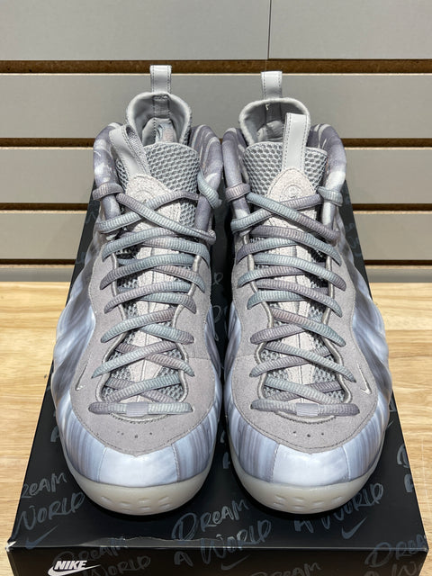 Nike Air Foamposite One Dream A World Grey Sz 11.5