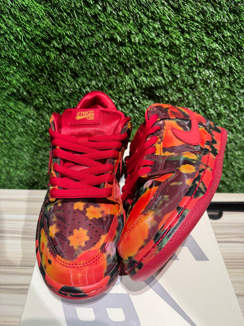 Nike SB Dunk Low The Wizard of Oz Poppy Field Sz 8