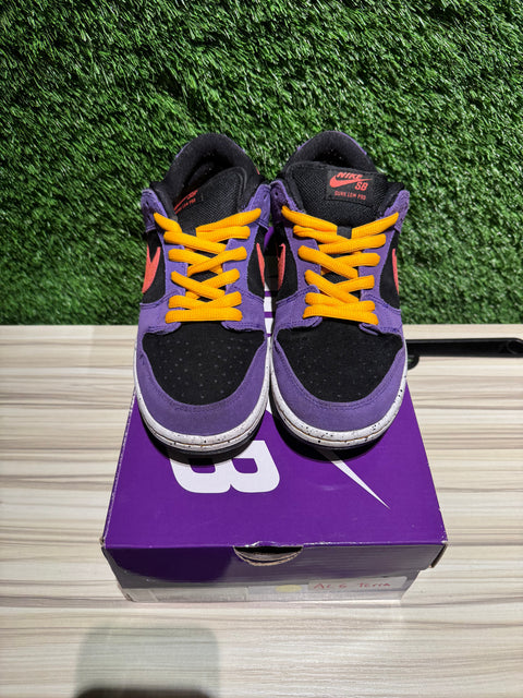 Nike SB Dunk Low ACG Terra Sz 8.5M