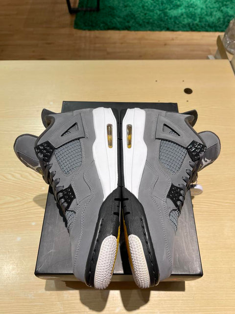 Jordan 4 Retro Cool Grey (2019) Sz 9