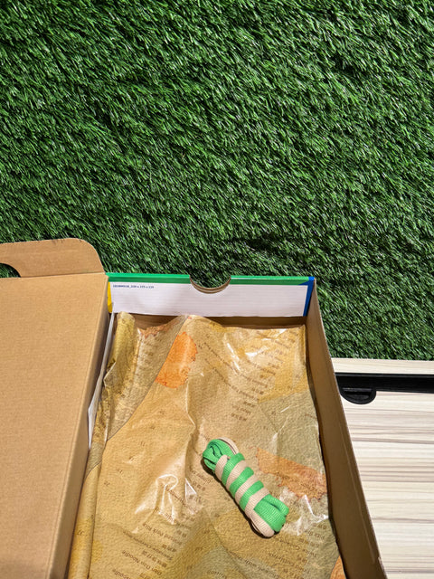 Nike SB Dunk Low Street Hawker (2021) Sz 10M