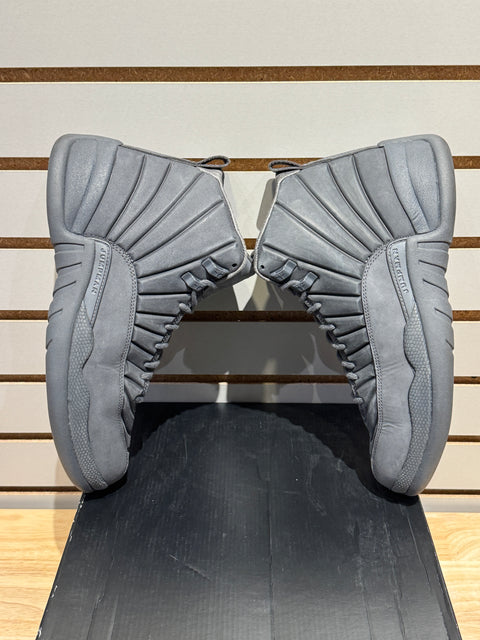 Jordan 12 Retro PSNY Sz 10.5