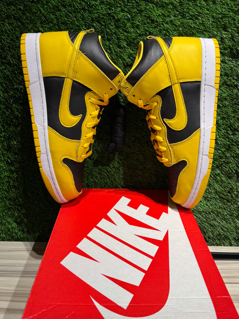 Nike Dunk High Iowa (2020) Sz 10