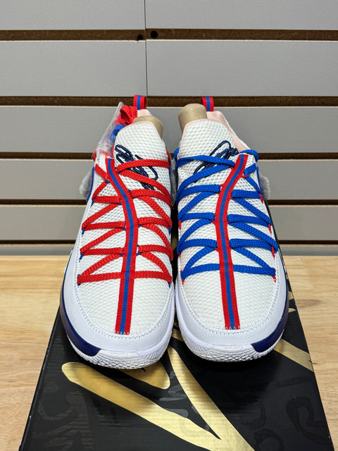 Nike LeBron 17 Low Tune Squad Sz 10.5