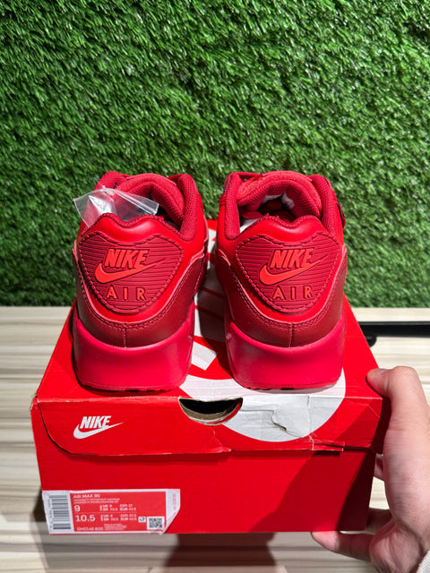 Nike Air Max 90 City Special Chicago Sz 9M