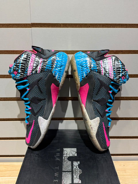 Nike LeBron 12 23 Chromosomes Sz 9.5