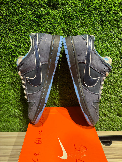Nike SB Dunk Low Concepts Blue Lobster Sz 7.5M