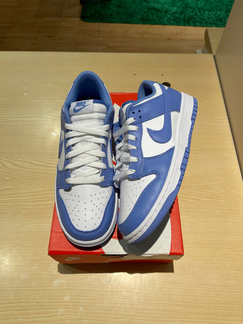 Nike Dunk Low Polar Blue