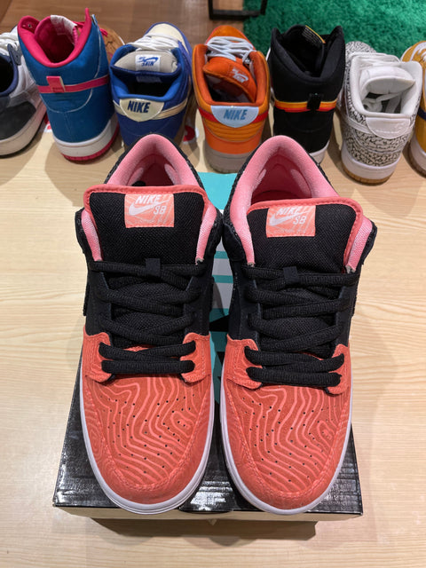 Nike SB Dunk Low Premier Fish Ladder