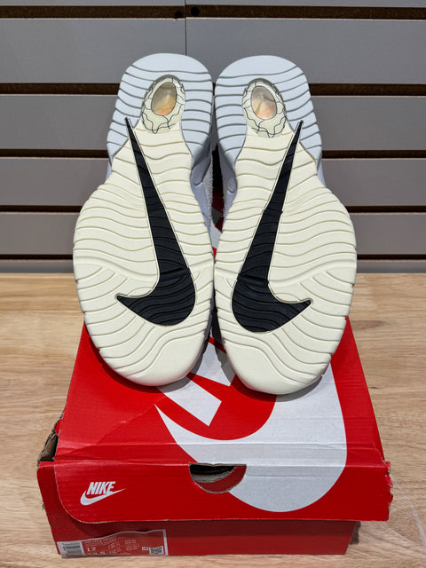Nike Air Max Penny 1 PRM Photon Dust Summit White Sz 12