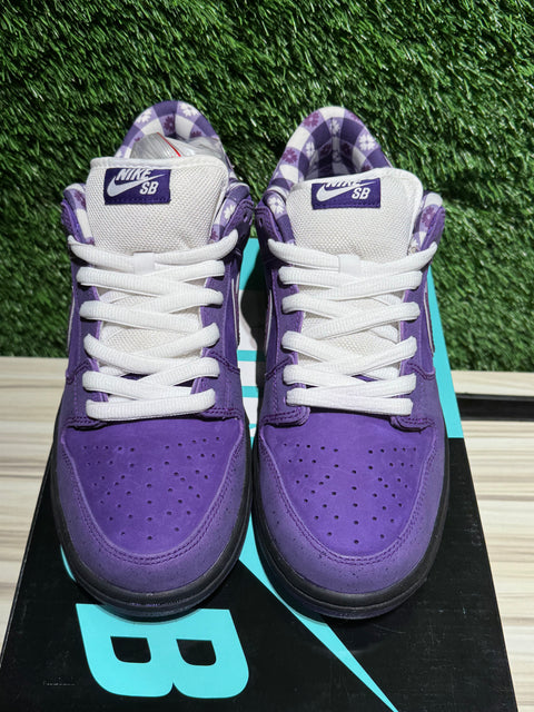 Nike SB Dunk Low Concepts Purple Lobster Sz 9.5M