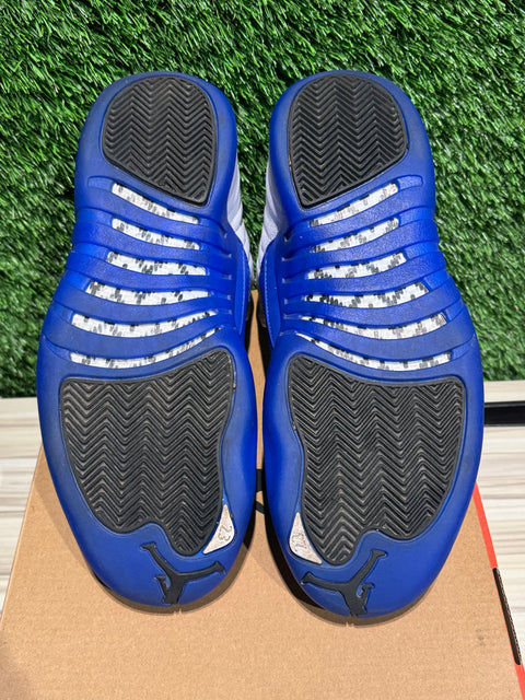 Jordan 12 Retro Blueberry Sz 8.5