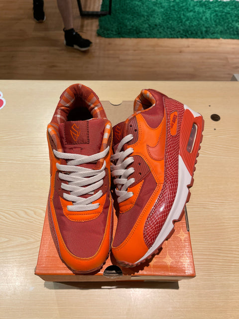 Nike Air Max 90 Steve Nash