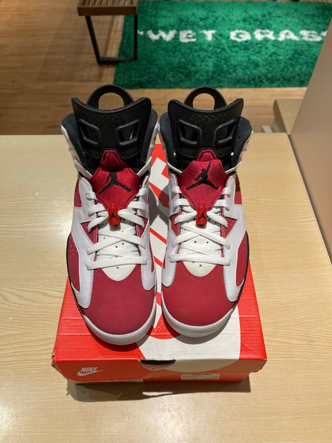 Jordan 6 Retro Carmine (2021)