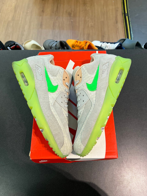 Nike Air Max 90 New Species