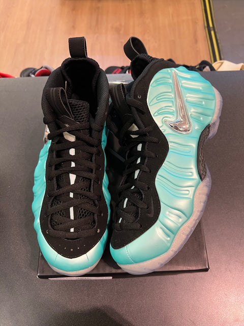 Air Nike Foamposite Pro Island Green