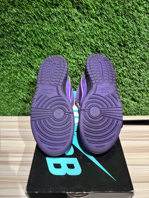 Nike SB Dunk Low Concepts Purple Lobster Sz 7.5M