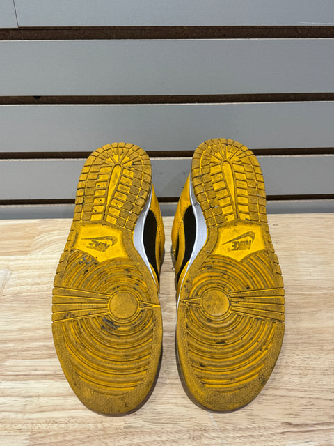 Nike Dunk Low Championship Goldenrod (2021) Sz 9