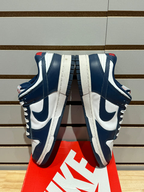 Nike Dunk Low Valerian Blue Sz 9.5