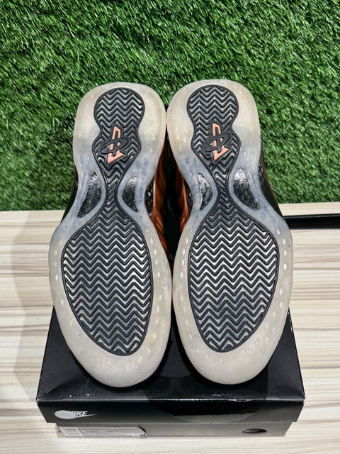 Nike Air Foamposite One Copper (2024) Sz 9