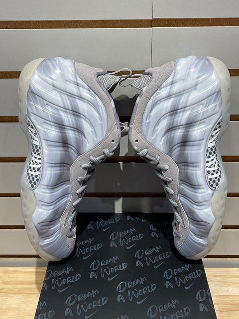 Nike Air Foamposite One Dream A World Grey Sz 11.5