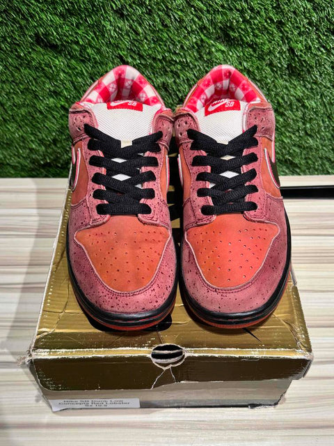 Nike SB Dunk Low Concepts Red Lobster Sz 10.5