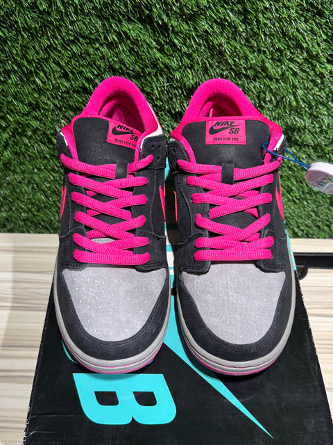 Nike SB Dunk Low Disposable Sz 9.5