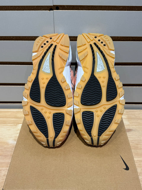 Nike Hot Step Air Terra Drake NOCTA Snakeskin Pink Quartz