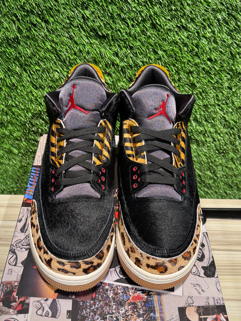 Jordan 3 Retro SE Animal Instinct Sz 12M