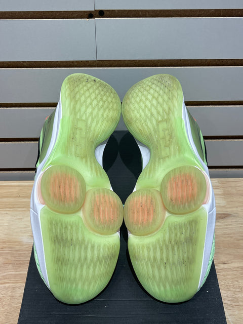 Nike LeBron Witness 5 Grinch Sz 9.5