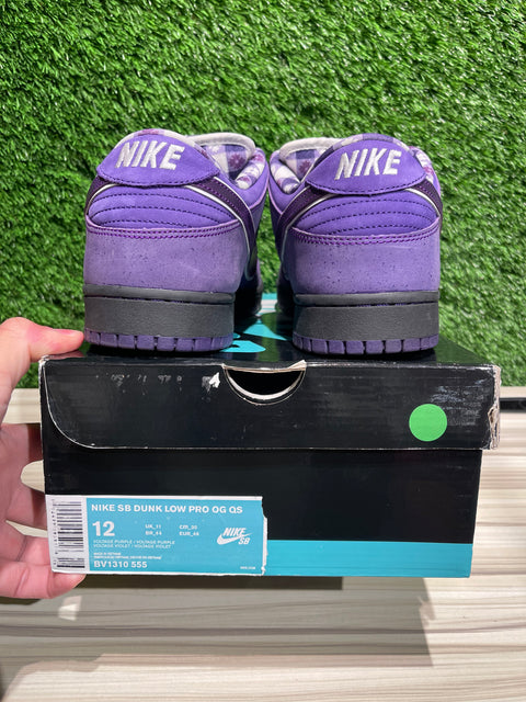 Nike SB Dunk Low Concepts Purple Lobster Sz 12M