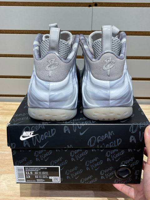 Nike Air Foamposite One Dream A World Grey Sz 11.5