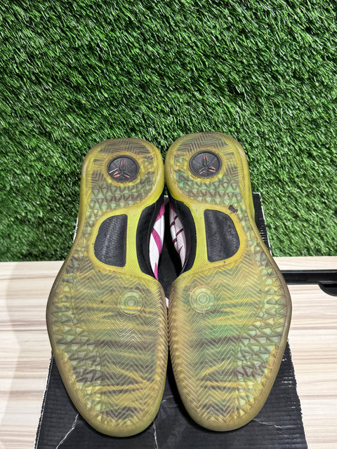 Nike Kobe 8 Mambacurial