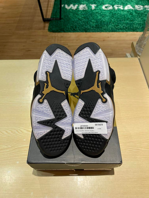 Jordan 6 Retro DMP (2020) Sz 9.5