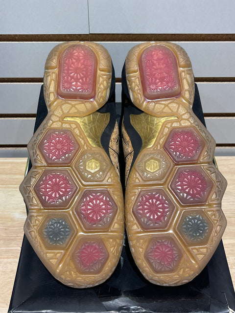 Nike LeBron 12 EXT Cork Sz 9.5