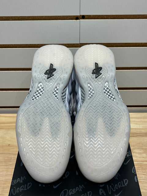 Nike Air Foamposite One Dream A World Grey Sz 11.5