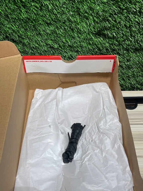 Nike Dunk Low Retro QS Halloween Skull Sz 14M