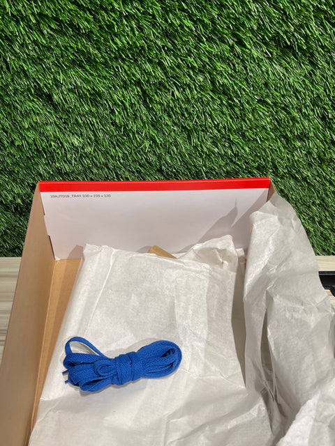 Jordan 1 Retro High OG Reverse Laney (Women's) Sz 10.5M