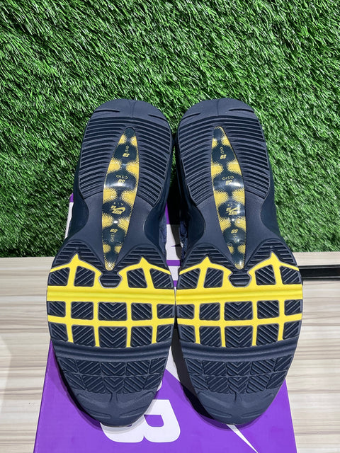 Nike Air Max 95 SB Eric Koston Obsidian Speed Yellow Sz 11.5M