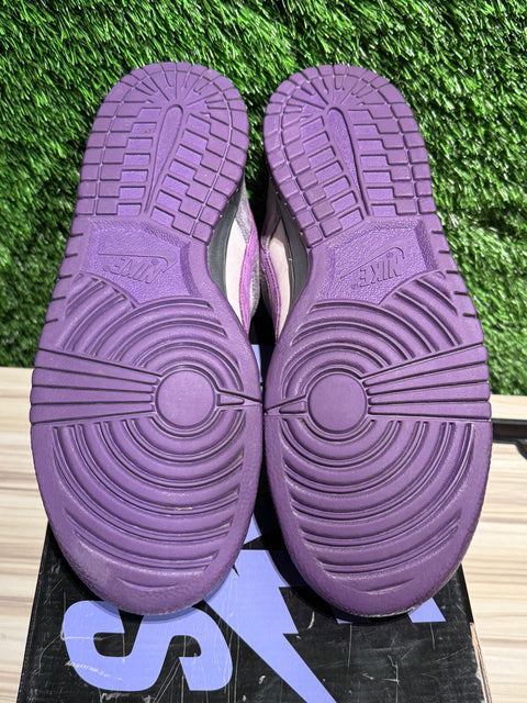 Nike SB Dunk Low Purple Pigeon Sz 10.5M