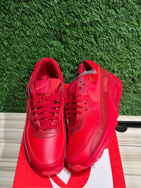 Nike Air Max 90 City Special Chicago Sz 9M