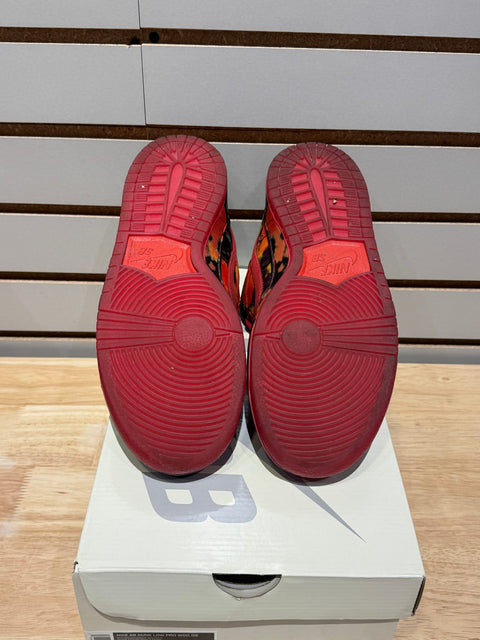 Nike SB Dunk Low The Wizard of Oz Poppy Field Sz 8