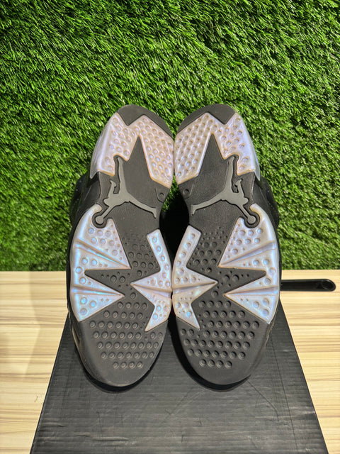 Jordan 6 Retro All-Star Chameleon (2017) Sz 10